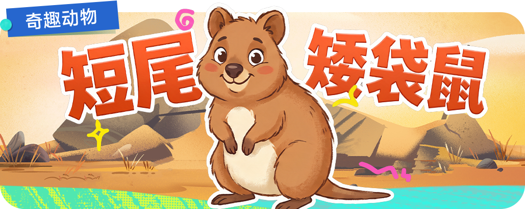 视频banner-工作作品